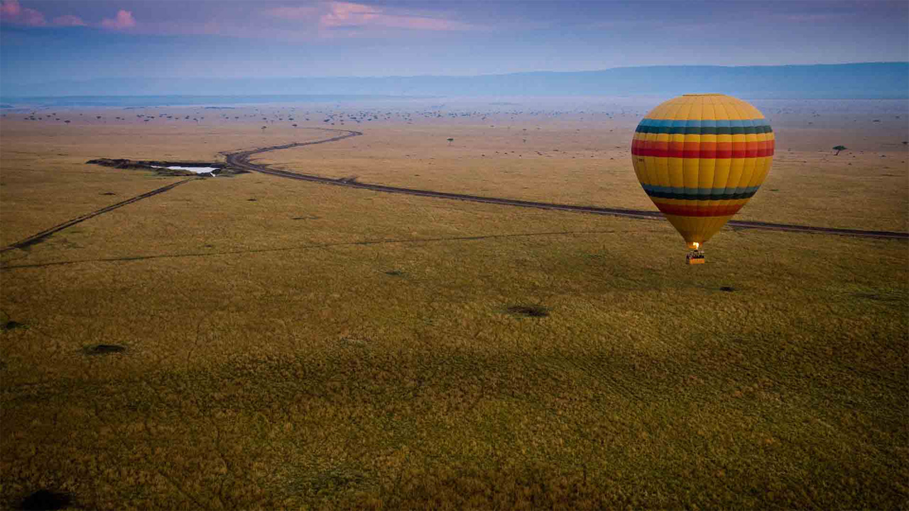 Vistas en Globo