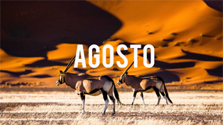 Viajar en Agosto