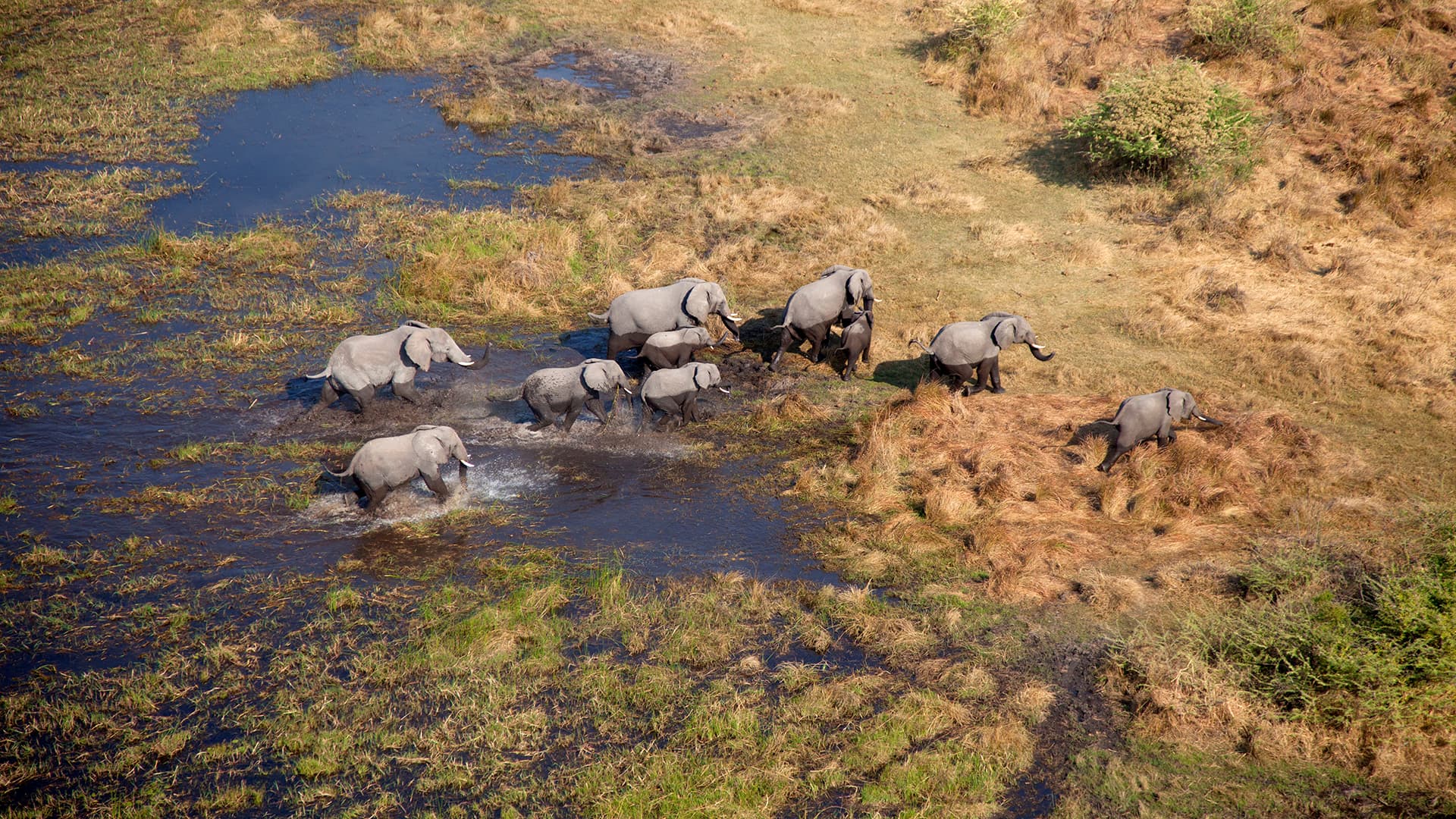 Botswana (6)