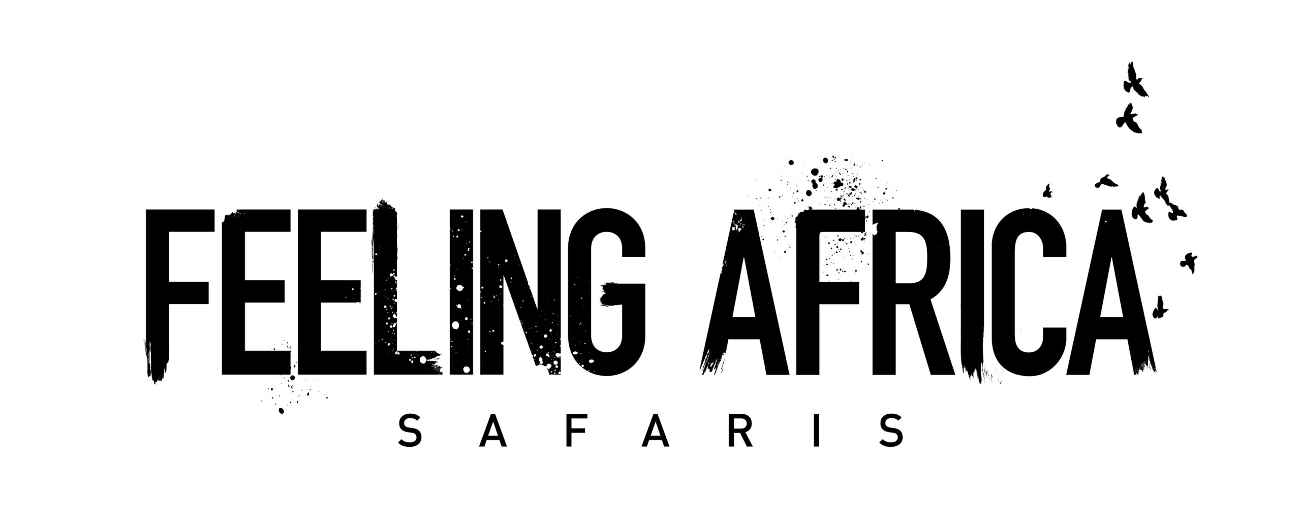 Feeling Africa Safaris