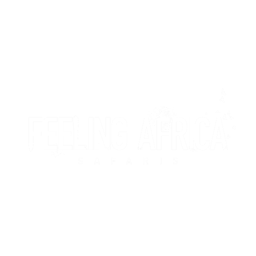 Feeling Africa